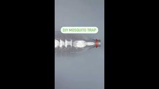 DIY Mosquito Trap #shorts