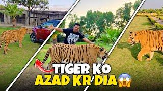 Tiger Ko Azad Krna Buht Mehnga Parh Gaya | Car Pr Attack kr k Car ko Tabbah Kr Dia | Nouman Hassan