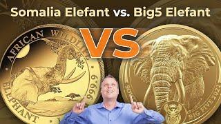 Somalia Elefant vs. Big Five Elefant - welche Münze gewinnt den Vergleich?