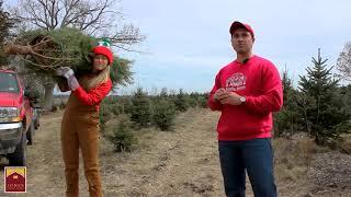 Jones Family Farms How to Carry & Transport Your Christmas Tree