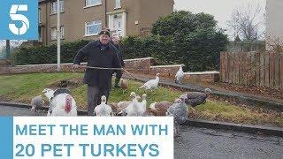 ‘Turkey man’ walks his birds instead of eating them | 5 News