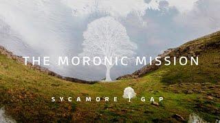 Sycamore Gap: The Moronic Mission | ITV News