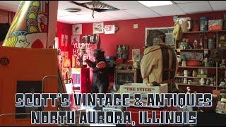 Bizarre Curiosities – Scott's Vintage & Antiques North Aurora, Illinois