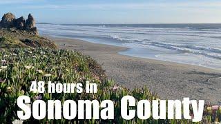 48 hours in Sonoma County