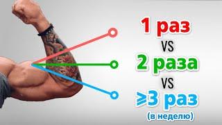 КАК ЧАСТО ТРЕНИРОВАТЬ мышцы. ОПТИМАЛЬНАЯ ЧАСТОТА ТРЕНИРОВКИ мышц для НАБОРА МАССЫ
