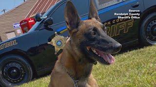 Randolph County K9 forced to medically retire