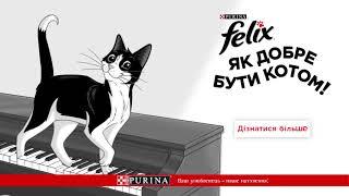 Felix® «Як добре бути котом!» Фелікс та Фортепіано