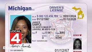 New Michigan driver’s licenses, state IDs and plates coming in 2024