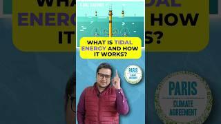 Free Electricity From The Ocean? Tidal Power Explained!