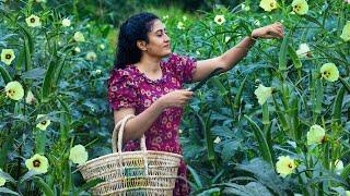 Lady's finger! 🫛 okra jel for sweets & made spicy recipes in rainy season!