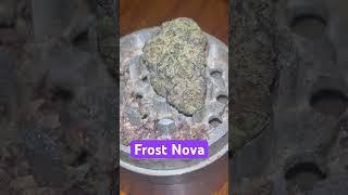 Strain: Frost Nova #love #winter #reggae