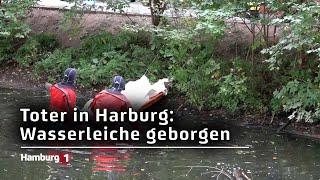 Toter in Harburg: Wasserleiche aus Außenmühlenteich geborgen