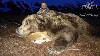 GIANT BROWN BEAR HUNT!!! - Stuck N the Rut 108