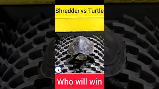 shredder vs turtle who will win #facts #shredder #experiment #hydraulictechnology #makingmachine