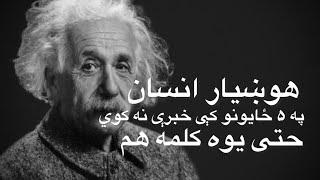 کاش د انشټاین په دې جملو ژر پوهېدی: هوښیار انسان په خپل سکوت له نورو دا ټکي پټوي