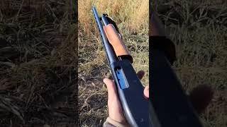 Mossberg 500 20 Gauge Shotgun