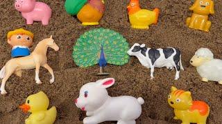 Farm Animal Surprise Toys Buried in Sand and Washed