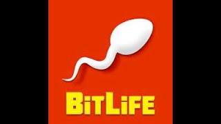 BitLife Simulator/Live the life you choose. https://www.playschoolgames.com/bitlife-life-simulator/