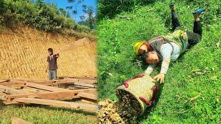 Single mother Lan,17 years old, went to dig ginger and fell, Duong went to work to earn extra income