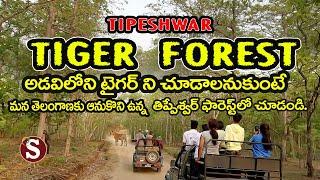 Tipeshwar Tiger Forest / Maharashtra - తీపేశ్వర్ || Tour with sadan