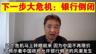 翟山鹰：中国下一步的大危机是银行危机丨房地产爆雷后一定引起银行倒闭