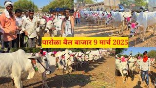 पारोळा बैल बाजार live  9 मार्च 2025 || Parola Bail Bajar #बैलबाजार