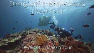 Amazing Diving Trip with the MSV Amira Liveaboard - The Jewels of Indonesia Tour - Diving TV -