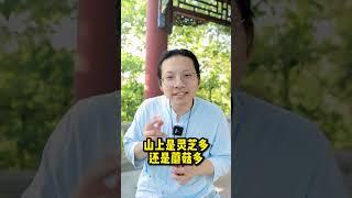 种生基是什么？