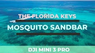  Exploring Mosquito Sandbar Key Largo: A Day of Adventure, Relaxation & Fun!