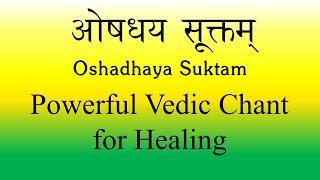 POWERFUL Mantra for Medicinal Healing | Oshadhaya Suktam | Yajur Veda | Produced by Sri K. Suresh