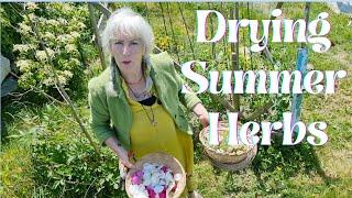 Drying Summer Herbs