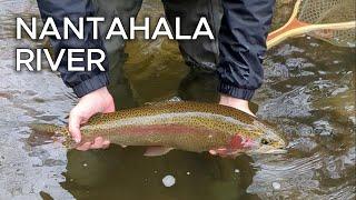 Catching My Personal Best Trout on the Nantahala River || Fly Fishing Western North Carolina