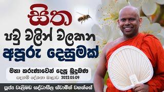 සිත පවු වලින් වලකන අපූරු දෙසුමක් | Venerable Welimada Saddaseela Thero