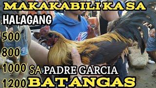 DAGSA MGA ABOT KAYANG PRESYO SA PADRE GARCIA BATANGAS LIVESTOCK AUCTION MARKET