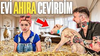 SEVGİLİMİN EVİNİ GİZLİCE AHIRA ÇEVİRDİM ! *Eve Koyun Soktum*Kışkırtma* @TheSera