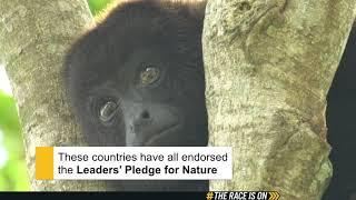 Leaders' Pledge for Nature: The Escazu Agreement