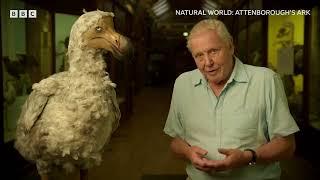 Attenborough's Ark | BBC Select