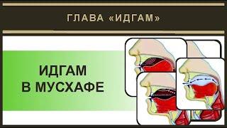 Айман Сувейд. 13. Признаки идгама в Мусхафе (русские субтитры)