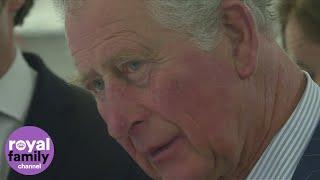 Prince Charles goes green in London