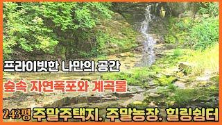 프라이빗한 숲속 나만의 자연폭포와 청정계곡이 있는 주말주택지, 주말농장, 힐링쉼터용지 ㅣ 토지243평 금액 8800만원 [경북문경토지] 전원일기tv