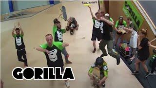 ONE TAKE #1 GORILLA TEAM GOES WILD IN THE  FREESTYLE ACADEMY STUTTGART DEINGORILLA.DE