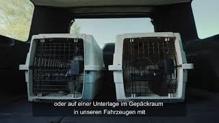 book-n-drive Carsharing - So funktioniert der Tiertransport