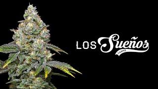 One of the World's Biggest Outdoor Cannabis Farm: Canna Cribs Episode 4 - Los Sueños Farms