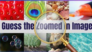 Guess The Zoomed In Images | Can you guess the Zoomed In Pictures? | Part 1