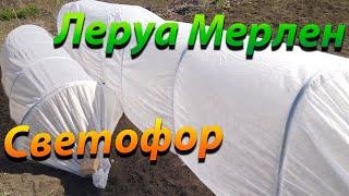 Парник "Гармошка" из Леруа Мерлен! Сравниваем с парником "Старт" из Светофора!