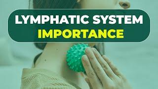 Lymphatic system importance | Nation Health | Lisa King RPh