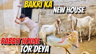 Rabbit house  tor deya! OR Bakri ka new house bana rahe he