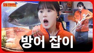 겨울 제철 대방어 사냥하고 왔습니다 | 노량진 수산시장 | 강한나 | 워크맨2