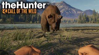  New players making money - theHunter: Call of the Wild (daily stream 12/365)