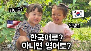 미국에 사는 한/미 국제부부 아이들이 만나면 어떤 언어를 쓸까?